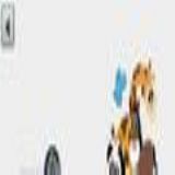 Download ANIMAL FUN Cell Phone Game